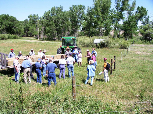 Picture of Grazing Management Workshop