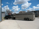 Picture of truck/trailer hauling trees